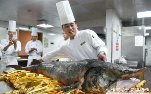 这鱼在地球生存1亿年，从未有过天敌，如今却败在中国吃货的嘴下