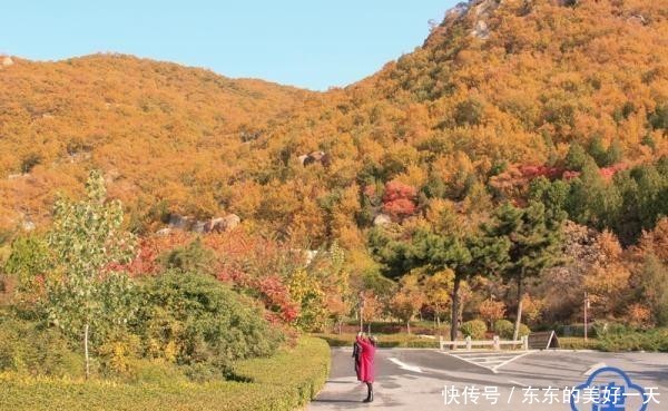 登高览秋色 镜头留美景 跟随摄影家看盘山红叶