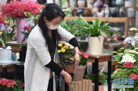  市场在做好：花鸟市场重焕生机