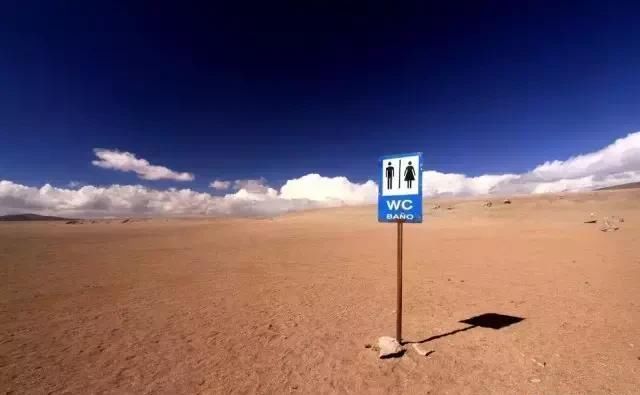 这些厕所太奇葩了！谁敢上啊！