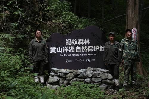  蚂蚁：马云的蚂蚁森林已经三年，现场卫星图曝光后，引网友瞬间