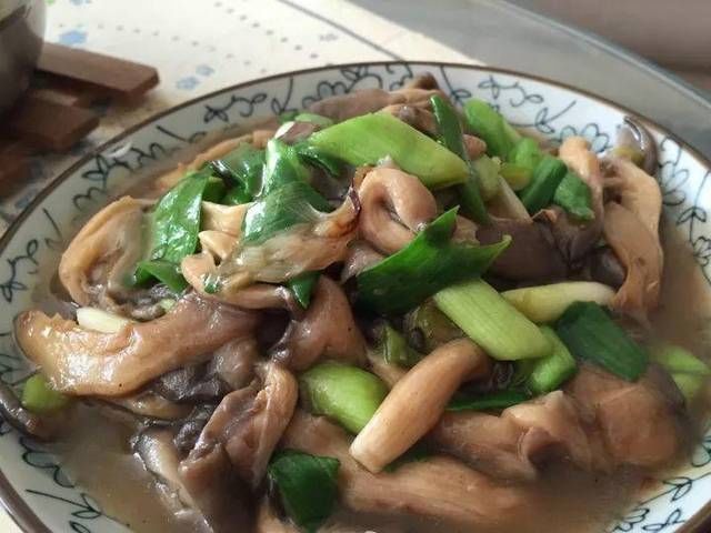  #路边#路边丢的“菌包”，老爹捡回家，三天两头一喷水，长出了大蘑菇