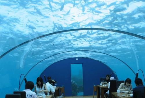 世界各国的4座“奇葩”餐厅,图一的棺材餐厅让人难以接受!