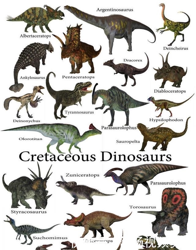 起源于中生代时期的恐龙家族,究竟隐藏了多少演化和发展的奥秘