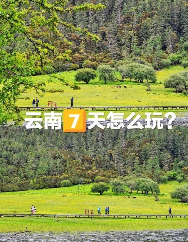 云南七天怎么玩？