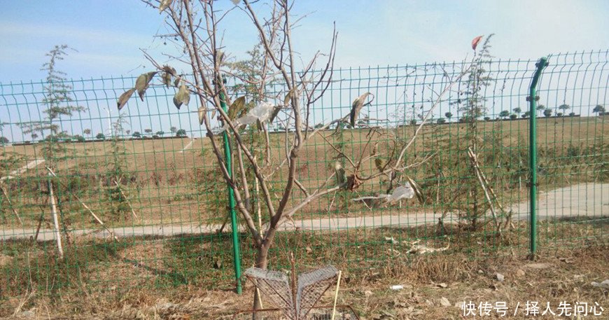 只有80后农村人知道这是干嘛的，现在想见都难喽，你知道这是啥