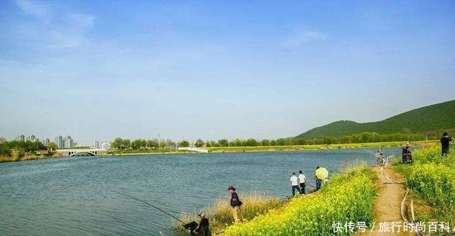  『解决』“春分”到小鱼闹，鲫鱼变得不好钓！巧用小鸡饲粒解决烦恼