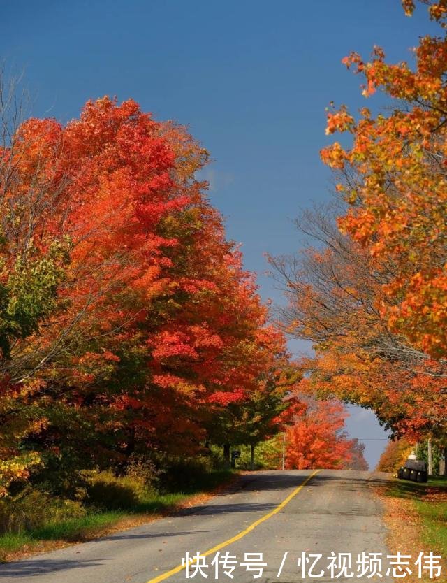 世界赏枫高阶指南｜日本与加拿大到底去哪一个