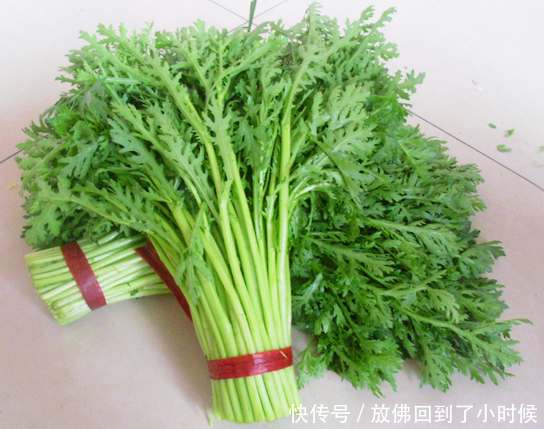 孕妇能吃茼蒿菜吗今天终于有答案了,爱吃茼蒿