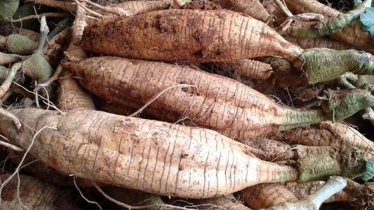  『抗皱嫩肤』适合妈妈们吃的“天然胶原蛋白”，抗衰老美白肌肤，身体越来越好