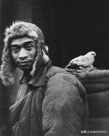 1947年的上海，这些黑白照片记录了上海人民的贫穷，恐惧