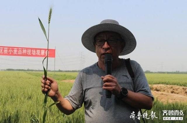  惠民县|惠民县农业农村局组织种粮大户到姜楼镇观摩优质麦种植情况