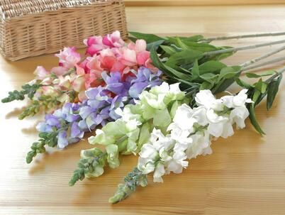 『好看』乡间趣事!开花像“金鱼”,教你这3招,不仅开花好看,一年能开“3次”花