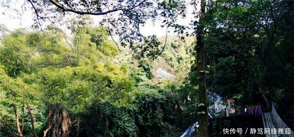 广东首条玻璃廊桥滑道不在清远在三水, 两个月前已经试运营了