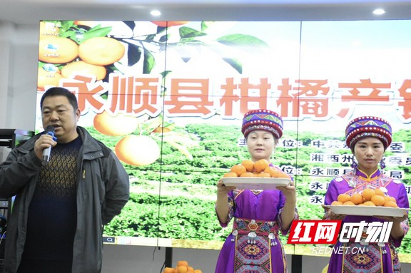 永顺县举行柑橘产销对接活动 现场签订销售2100吨协议