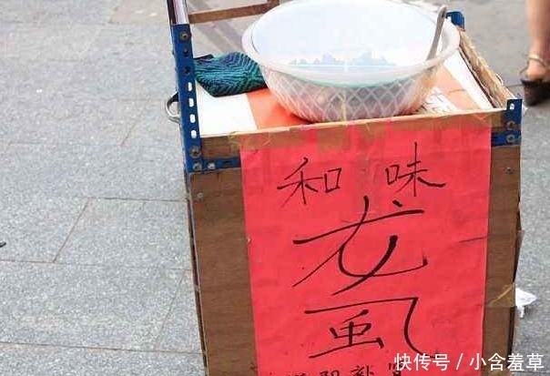 农民小心了，最新3个养殖骗局，悄然复活，不少农户已上当