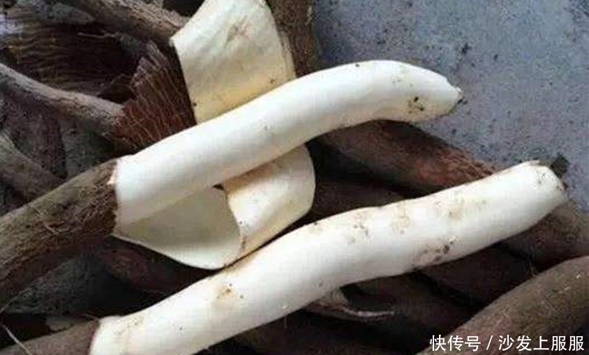 农村这样东西亩产几吨，2毛钱一斤没人收购，农民无奈拿它喂羊