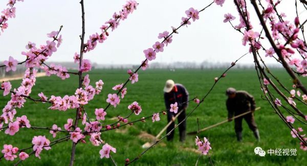  「花儿」你和花儿，一样美！