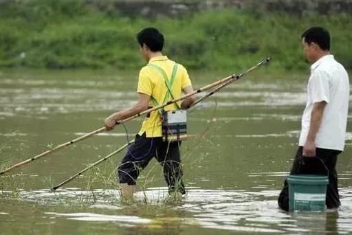 农村4种行为不被允许，咱农民要早了解