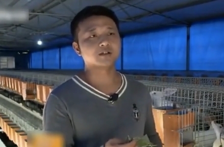  【小伙】农村小伙投资3万养獭兔 一年纯收入40万 三年身价上亿