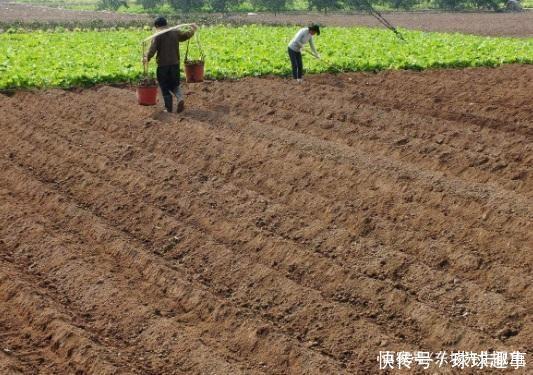 2019年开始，农村中的外嫁女，户口新规定你知道吗