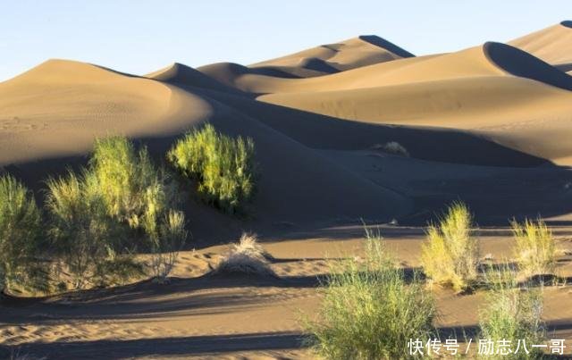 中国“最悲惨”的沙漠600多万亩黄沙，种上土豆后“颜面尽失”