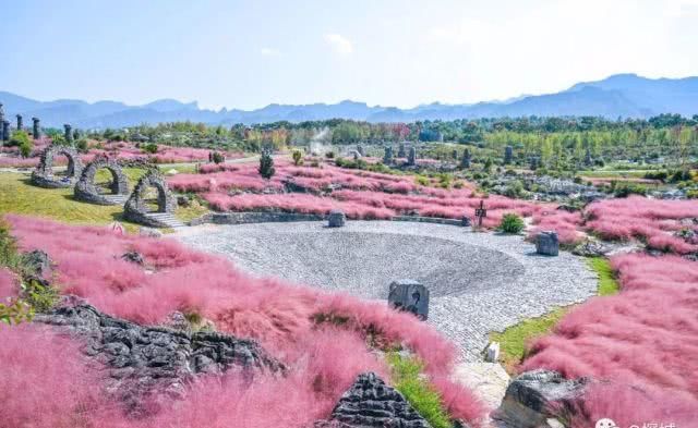 石头会呼吸 粉红花田上千亩 重庆这个景区一天穿越一亿年
