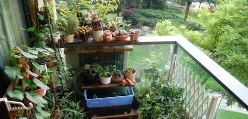 身体■家里万万不要养这3种花,难怪家人身体越来越差,聪明人一眼便知