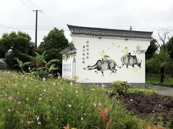 改头换面！今年宁波海曙621座农村公厕完成了改造