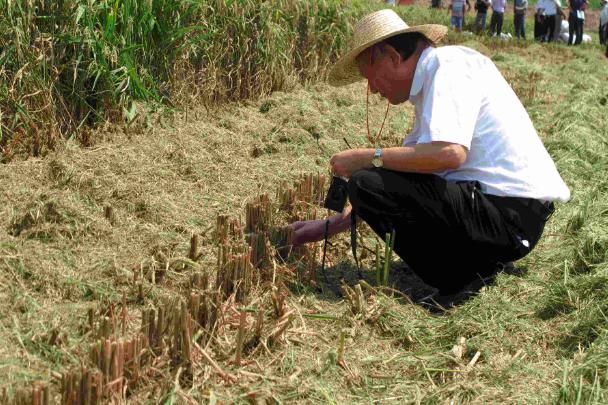 身价超越李嘉诚：这个90岁的老头才是真正的中国隐形首富