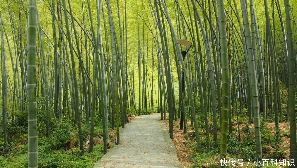  合川■重庆三个叫“川”的区，曾经都是县级市，目前区别却很大