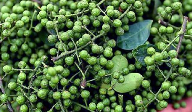 #花椒#铜仁青花椒产业发展思考