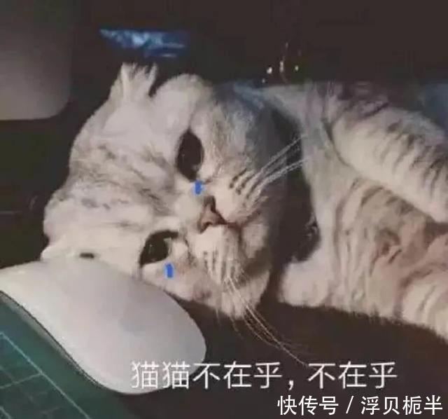  『气质』是时候穿T恤了，40套气质搭配，照着穿就很好看！