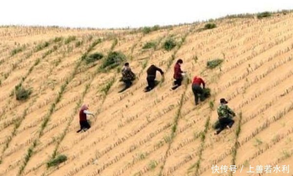  「中国人」中国人化废为宝，在这片荒芜的沙漠种土豆，还收获了1
