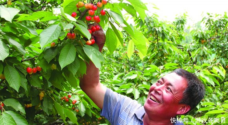2019年农村这2大证或将停办，最少能值10万元，没办的抓紧