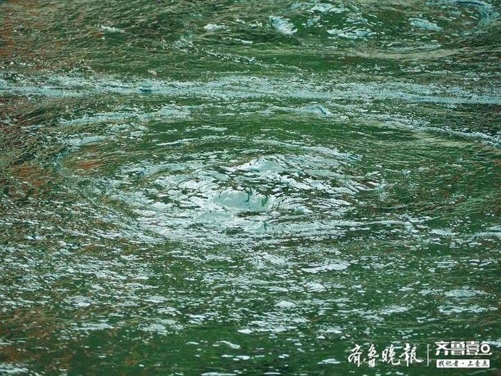  「济南」立竿见影，大雨让济南趵突泉水位急升7厘米暂解春旱