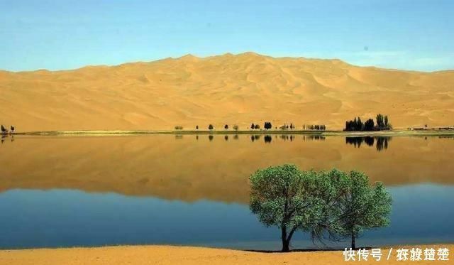  堪称@中国又显“洪荒之力”百万吨黄河水倒灌内蒙沙漠,堪称百年