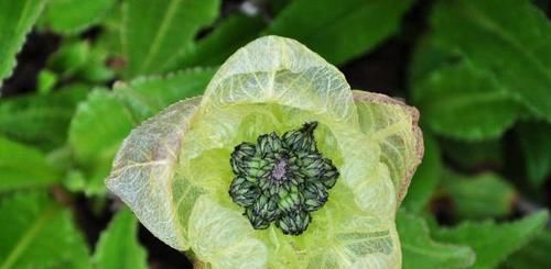  「挥泪」公务员的工资水平究竟如何？多名在职公务员挥泪自述