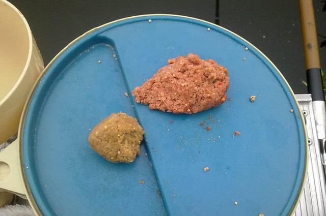  水库■水库钓鱼注意这4点，钓好鱼不难