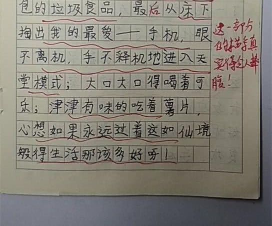 小学生作文敢吐槽爸爸玩游戏,老师评语:真实