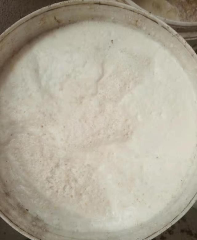 #蛋白质含量#黄豆投喂小龙虾的集中处理方法，你知道几种？
