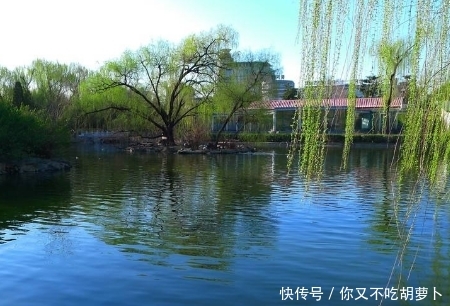为何刚挖好的水池，过一段时间之后就会长出鱼？今天终于知道了