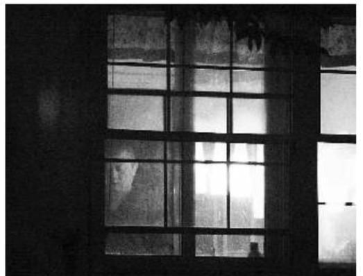  『徐静蕾和』在沈旭佳和徐静蕾之后，王朔和王子文有怎样的“隐秘”往事?