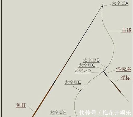  『柔软』钓鱼的人不懂这些基本知识，感觉算不上一个真正的钓者