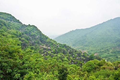 广西最壮观的石林，原生态的风景令人称奇，春节你想去看看吗？