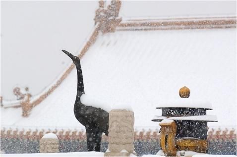 雪后故宫美不胜收，北京故宫雪景拍照攻略，故宫旅游攻略大全