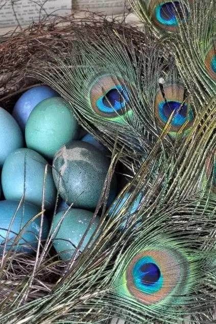 孔雀公主的故乡,普洱茶的原产地,请多关照