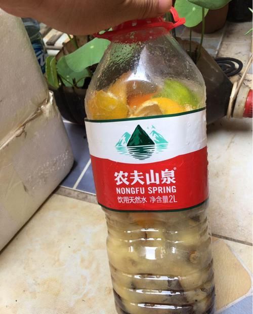  「抗冻」给花喂点抗冻肥，叶子又肥又绿，越长越有劲儿！