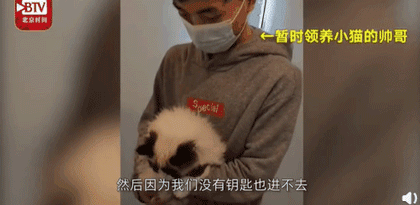  感染■一家七口感染新冠，猫咪独自守家40天，回家这一幕让他们惊呆了