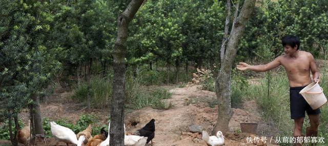 不打工的农民怎么办其实还有“三个出路”，年赚七八万没问题